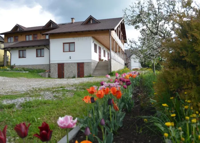 Pensiunea Arina Vatra Dornei